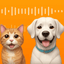 Mydogtranslator