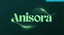 Anisora - Advanced Anime Video Generation