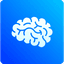 Brain Notes