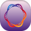 Designdna 
