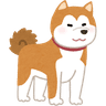 Dog To