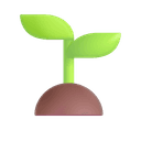 Grow a