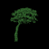 Growth