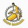 nano b