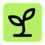 Nodes.garden