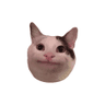 Notesc