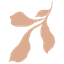 Patternisse