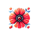 Pop-pl