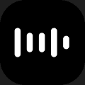 VoiceC