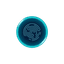 Webshield.ai