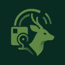 wildli