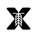 X-ray 