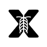 X-ray 