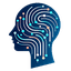 Zola Analytics