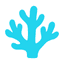 Zooid